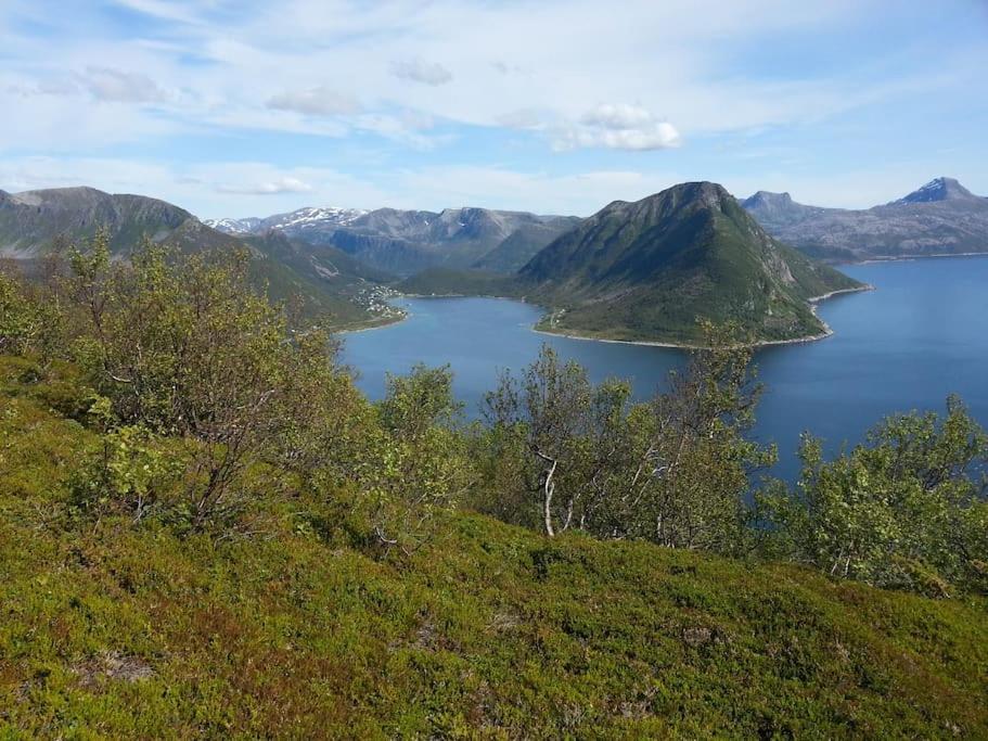 Leilighet I Rorbu Pa Kaldfarnes - Yttersia Senja Екстериор снимка
