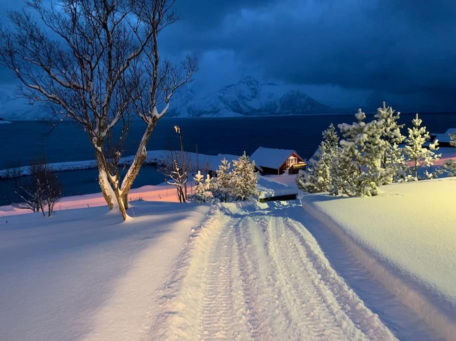 Leilighet I Rorbu Pa Kaldfarnes - Yttersia Senja Екстериор снимка