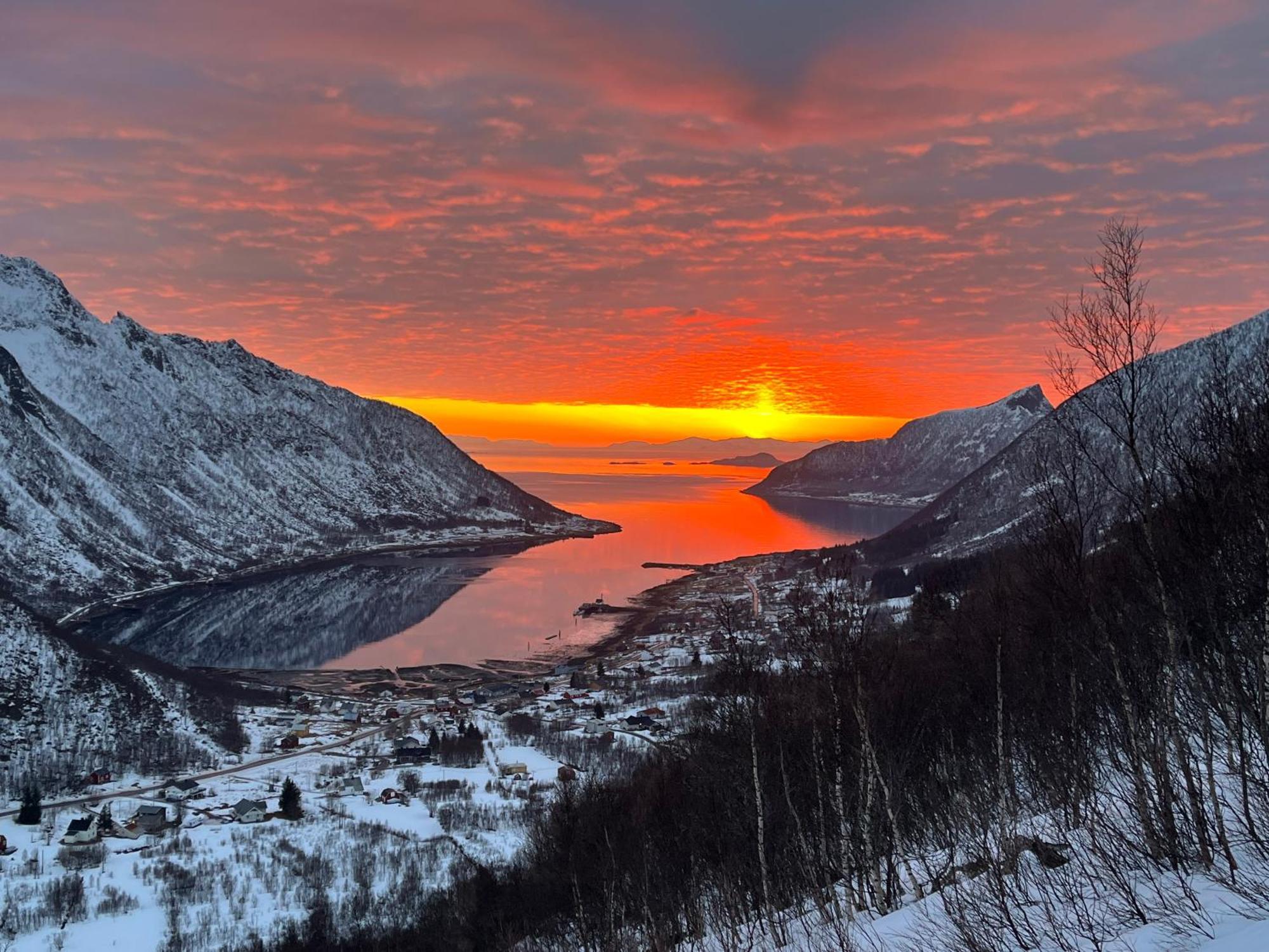 Leilighet I Rorbu Pa Kaldfarnes - Yttersia Senja Екстериор снимка